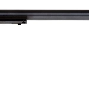 Heritage Mfg RR22B16AS Rough Rider  22 LR 6 Shot, 16" Black Steel Barrel, Black Zinc Alloy Frame, Black Cylinder, Cocobolo Grip, Hammer/Thumb Safety, Exposed Hammer