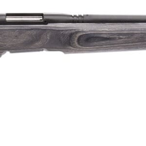 Savage Arms 96970 B.MAG  Full Size 17 WSM 8+1 22" Matte Black Heavy Barrel, Matte Black Drilled & Tapped Carbon Steel Receiver, Satin Gray Varmint Beavertail Laminate Stock, Right Hand