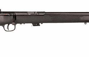 SAVAGE ARMS MARK II BOLT 22LR BL/SYN TARG