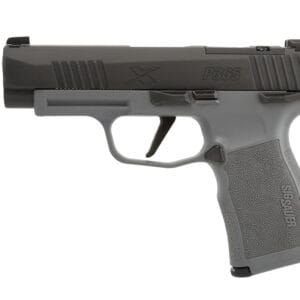 SIG SAUER P365 XL 9MM NIT/GRAY 12+1 NS #