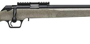 SPRINGFIELD ARMORY MODEL 2020 RF TARGET 22LR SAGE BLK WEB 1-10RD