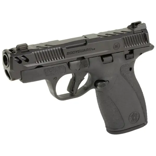 SMITH & WESSON PC BODYGUARD 2.0 CARRY COMP 380ACP PISTOL 3.1" M.S. NIGHT SIGHTS, 2-10RD MAG - Image 2