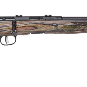 SAVAGE ARMS B17 BNS-SR 17HMR BLK/LAM 18" #