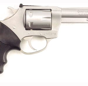 Alternative view of CHARTER ARMS PATHFINDER 22WMR - 4.2" S/S ADJ