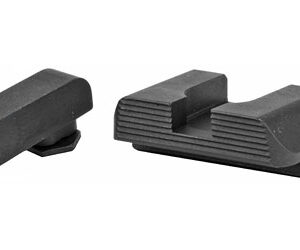 Alternative view of AMERIGLO PROTECTOR G/L FOR GLK 42/43