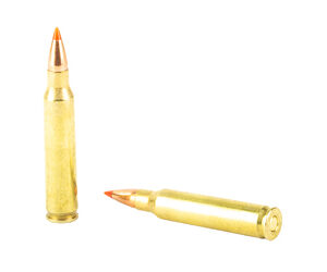 HRNDY 223REM 55GR VMAX 20/200 - Image 4
