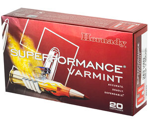HRNDY SF 243WIN 58GR VMAX 20/200 - Image 3