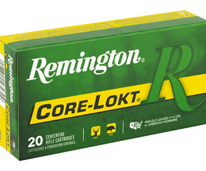 Alternative view of REM 6MM 100GR CM CL 20/200