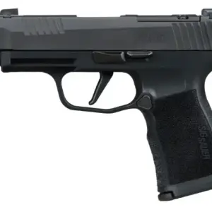 SIG SAUER P365XL COMP M.S. 380ACP PISTOL 3.1" X SERIES, O.R. 2-12RD MAG