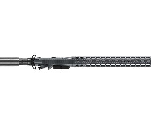 RADIAN MODEL 1 16" 223WLD 30RD GRY - Image 3