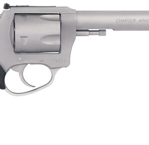 Alternative view of CHARTER ARMS PIT BULL 9MM - 6" ADJ S/S