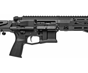 MAXIM PDX 300BLK 5.5" 20RD BLK BRACE