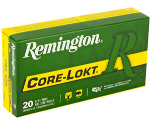 Alternative view of REM 243WIN 100GR PSP CL 20/200