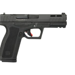 BERSA BP9 FULL SIZE 9MM MATTE 17+1