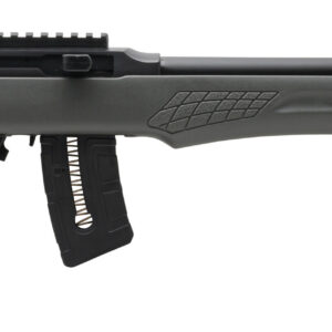 ROSSI RS22 22MAG BLK/GRAY 21" 10+1 #