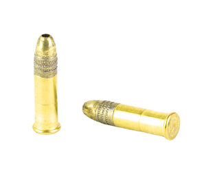REM GLD HNTR 22LR 40GR PHP 100/5000 - Image 4