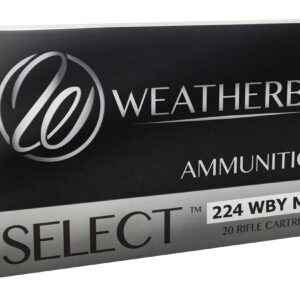 WEATHERBY 224WBY 55GR SPIRE POINT