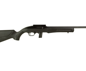 ROSSI RS22 22LR 18" 10RD TB - Image 2