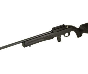 ROSSI RS22 22LR 18" 10RD TB - Image 3