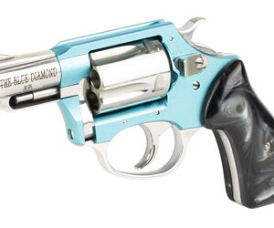 CHARTER ARMS BL DIAMOND 38SPL 2" 5RD - Image 3