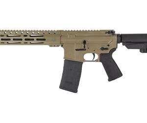 DBF DB15 300BLK 10" 30RD FDE BRACE