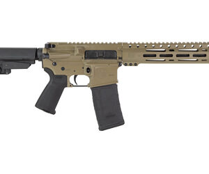 DBF DB15 300BLK 10" 30RD FDE BRACE - Image 2