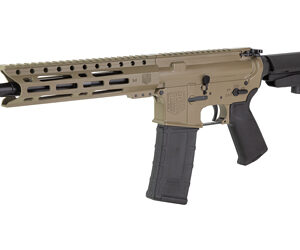 DBF DB15 300BLK 10" 30RD FDE BRACE - Image 3